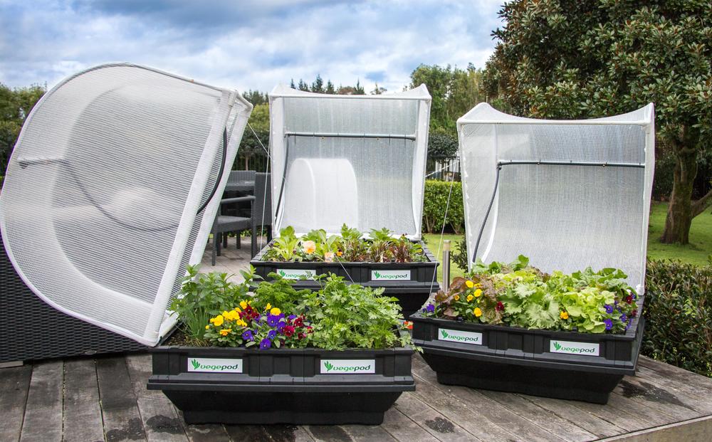 Sydney Morning Herald feature with gardening columnist Robin Powell  - "Eat your Vegetables and Grow them too"