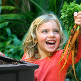 Large Raised Garden Bed with Garden Cover