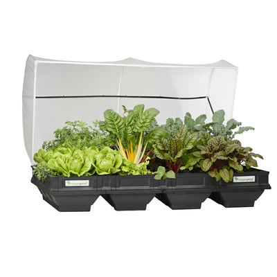 Large Raised Garden Bed with Garden Cover